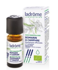 Romarin à camphre (Rosmarinus officinalis ct camphre)